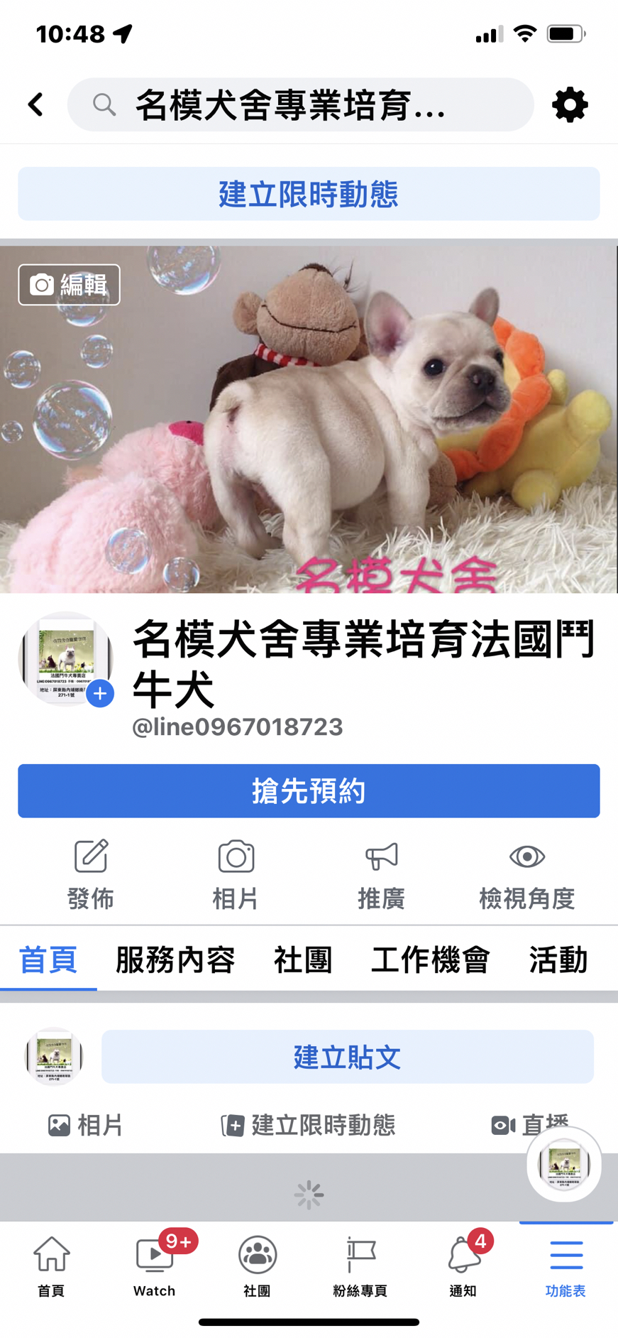法鬥犬舍名模犬舍橫幅